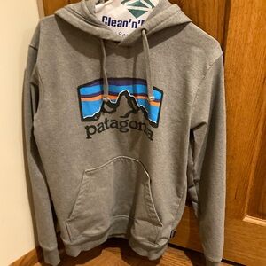 Patagonia Gray XS Hoodie for Men